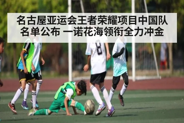 名古屋亚运会王者荣耀项目中国队名单公布 一诺花海领衔全力冲金 - kaiyun